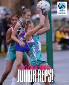 Home sponsors update &raquo; randwick netball